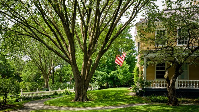 Yellow house with flag and large tree in yard