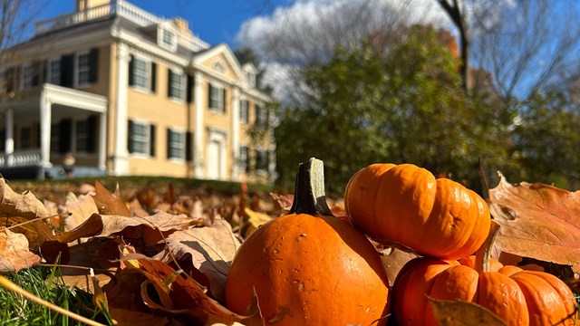 Front facade of Longfellow House with small orange pumpkins in foreground
