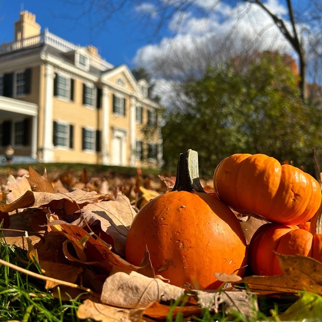 Front facade of Longfellow House with small orange pumpkins in foreground