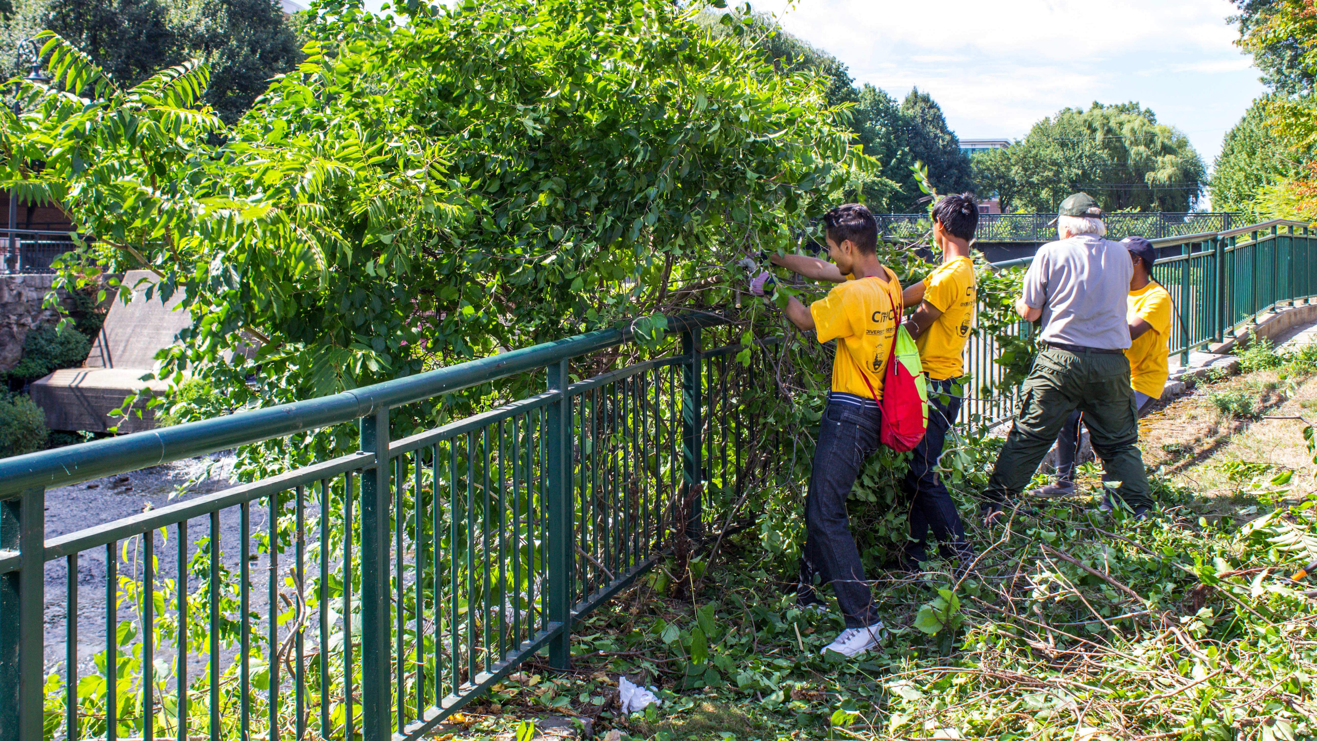 A group of high school employees work to maintain a trail