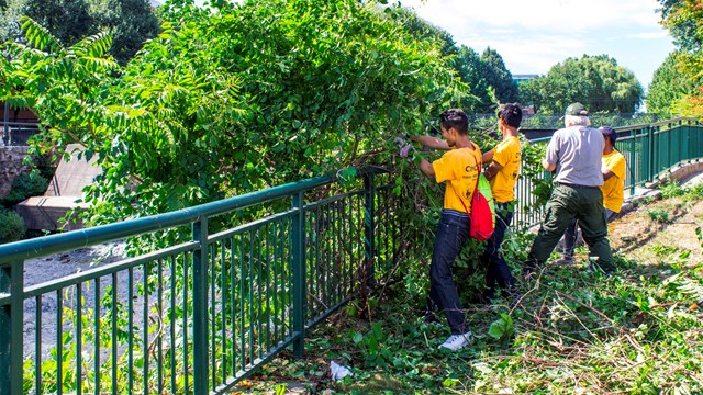 A group of high school employees work to maintain a trail