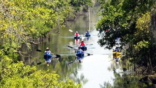A group of kayakers on a river
