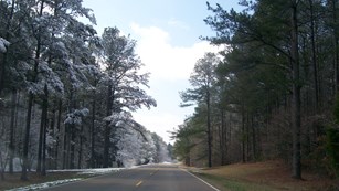 Snow covers the trees along the parkway