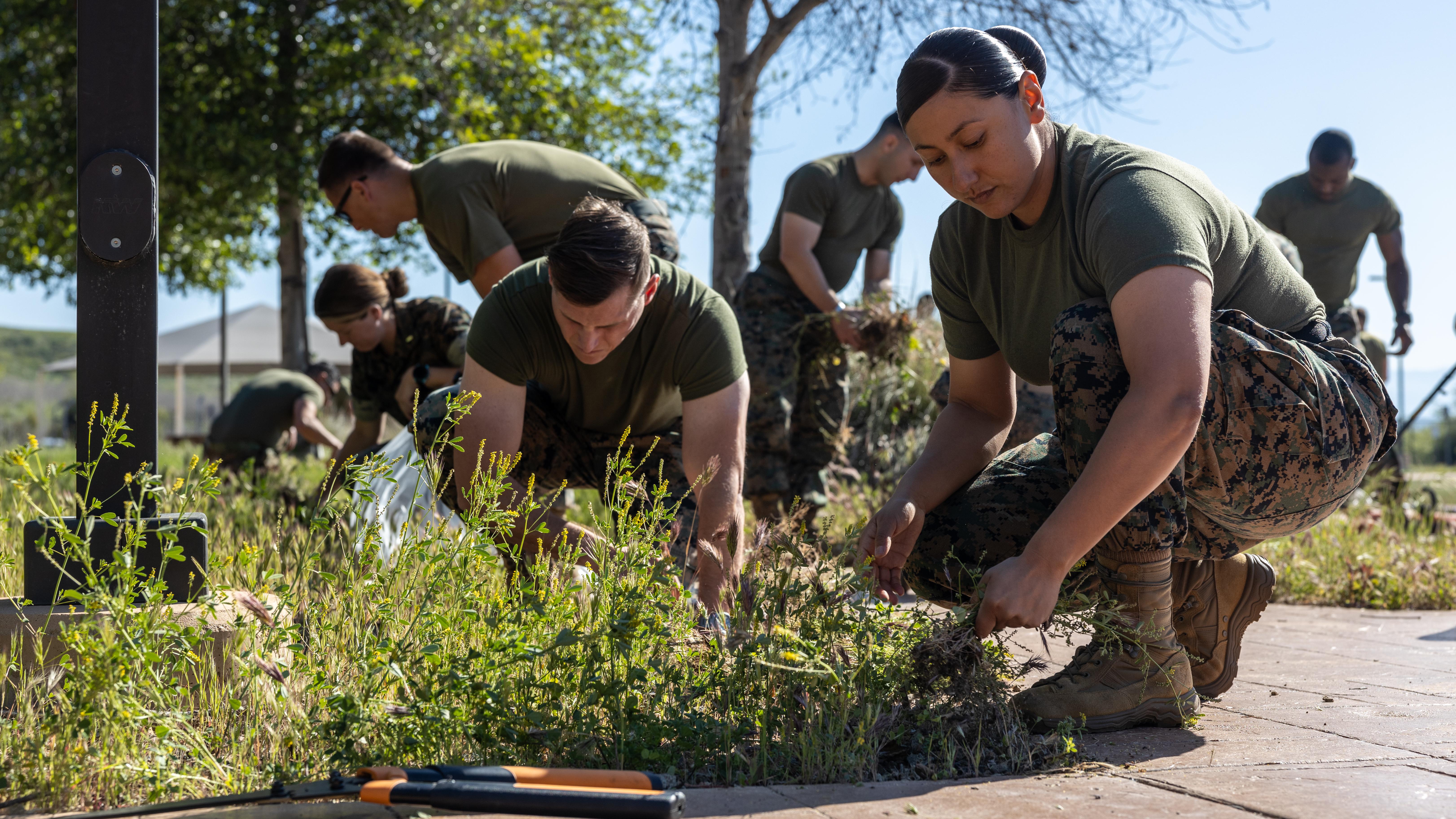 People in uniform trim weeds along a sidewalk.
