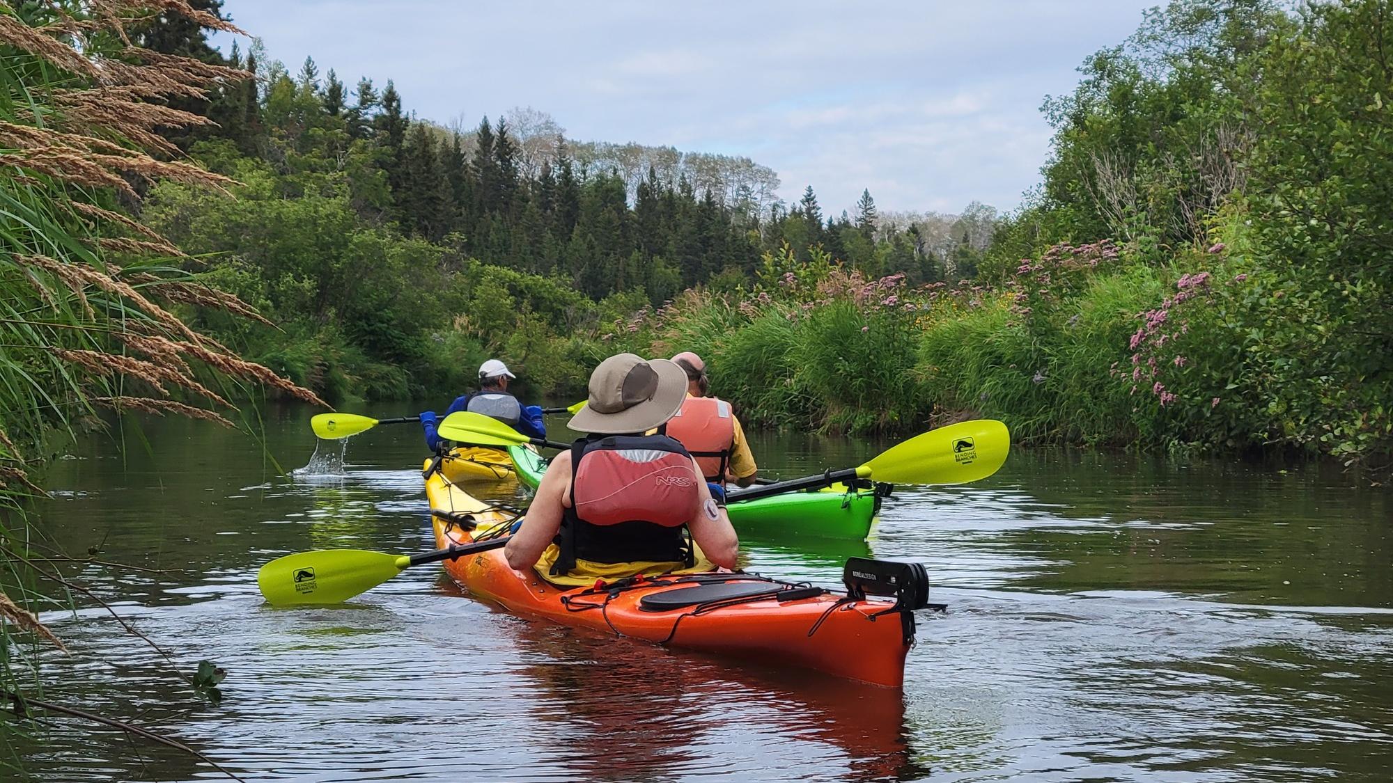 People in a red kayak on a waterway with green trees, blue sky