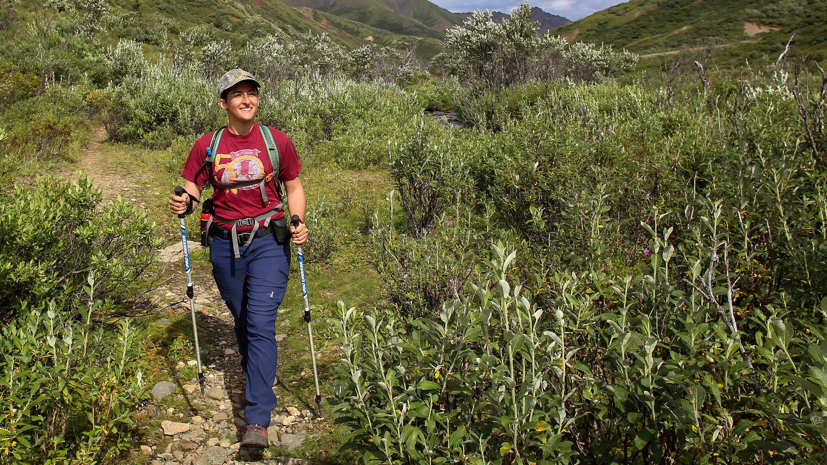 Person with hiking sticks walking through a landscape with green plants, blue skies, mountains