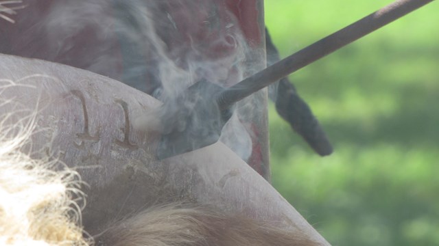 A metal brand presses into the horn of a bull while smoke rises.