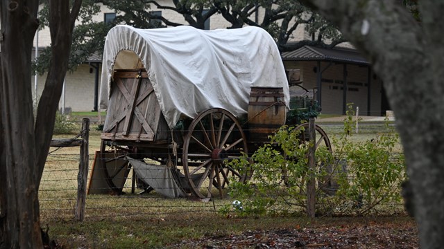 Covered chuckwagon sits below Live Oak trees