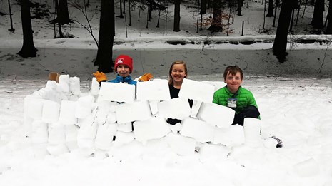 Kids with snow blocks