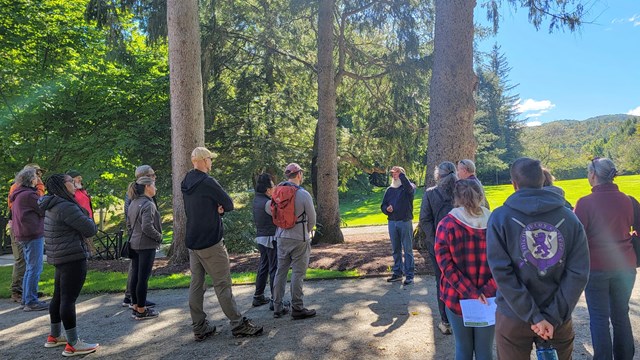 Group of adults gathers and listens to instructor in the forest