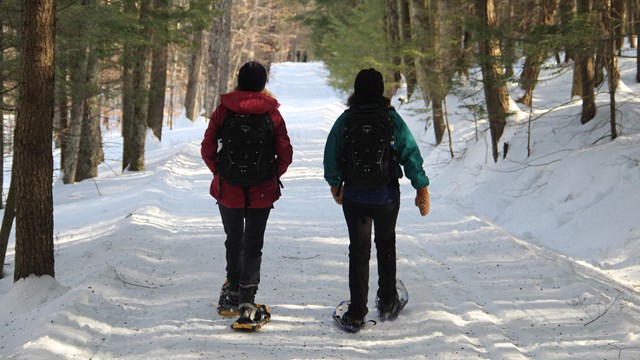 Two hikers snowshoe down snowy carriage road in winter