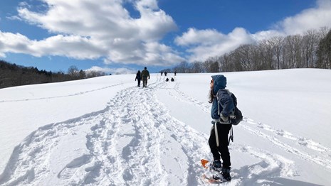 Snowshoers on park trail