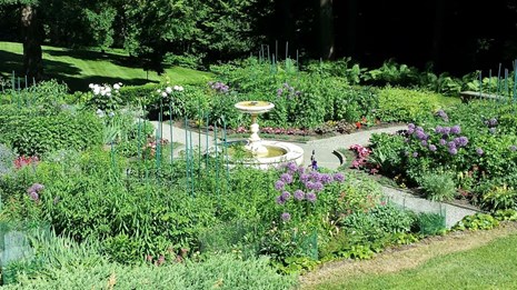 Opening for SCA Horticultural Intern position