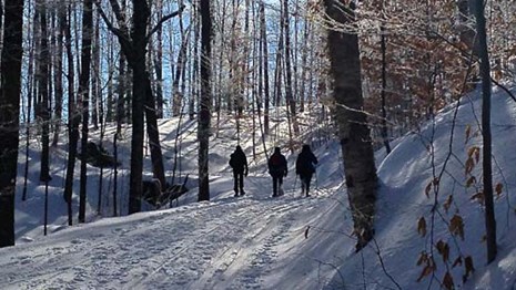 Winter hikers on trail to the Pogue