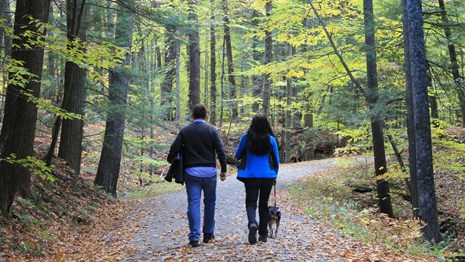 People hiking in the park