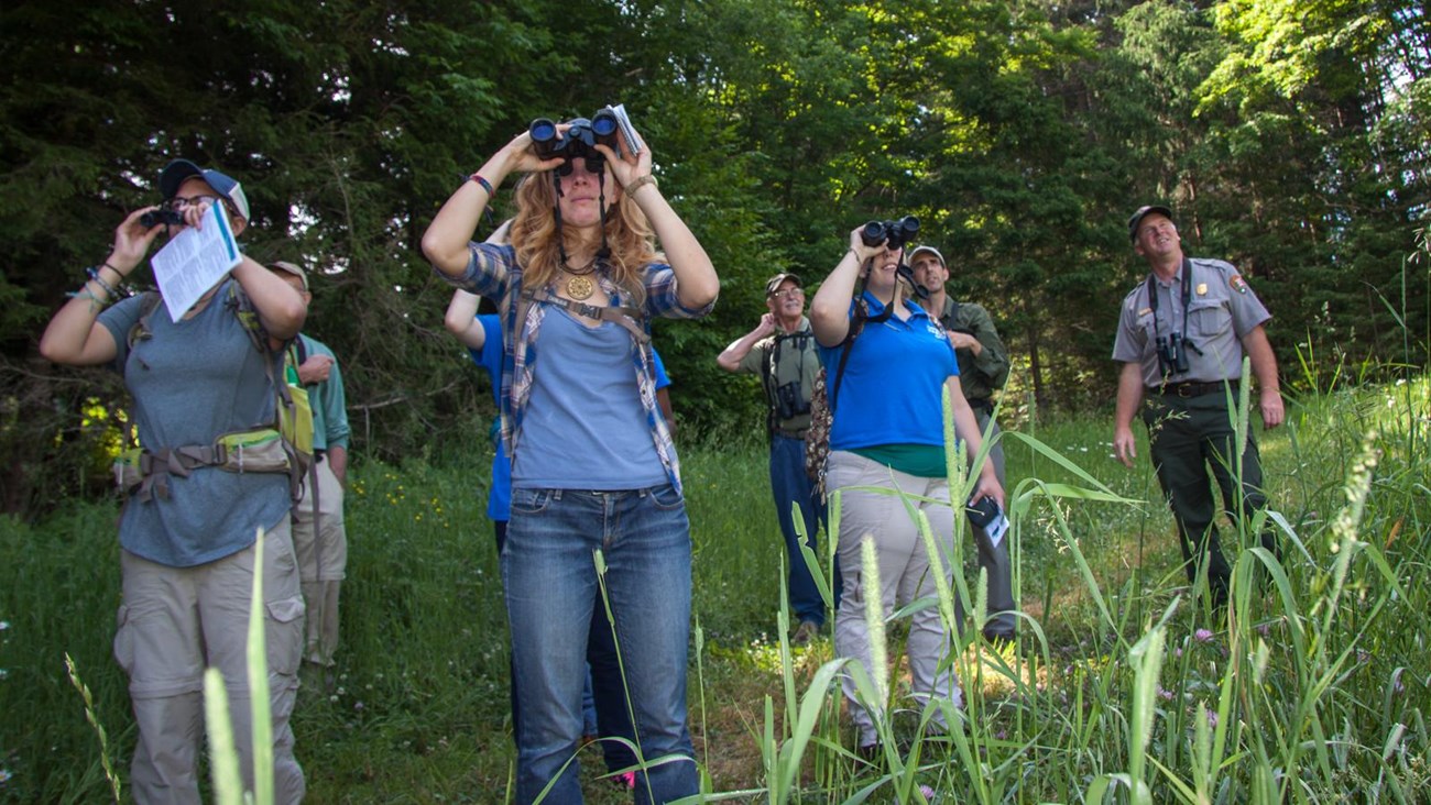 four young people and one park ranger look at birds through binoculars