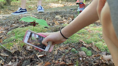 iNaturalist Cell phone app - hand with cell phone