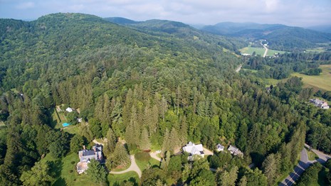 Aerial photo of the park