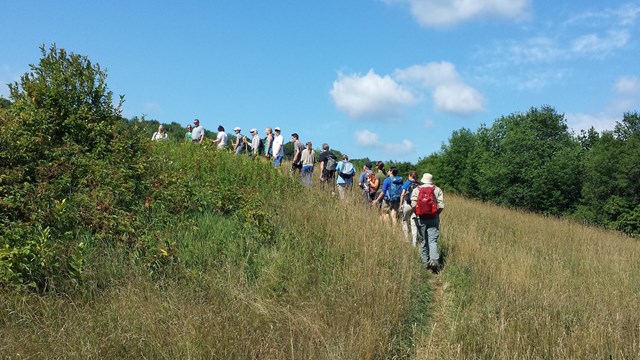 Hikers walk in a single file like through a meadow