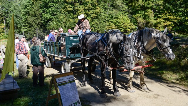 Horse drawn wagon ride