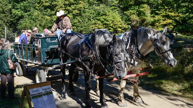 Horse drawn wagon ride