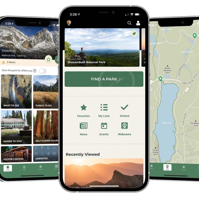 phone with NPS App