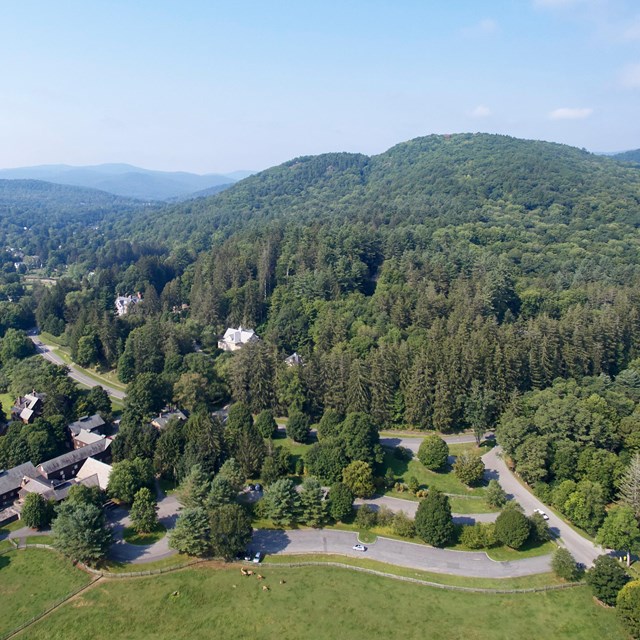Aerial photo of the park
