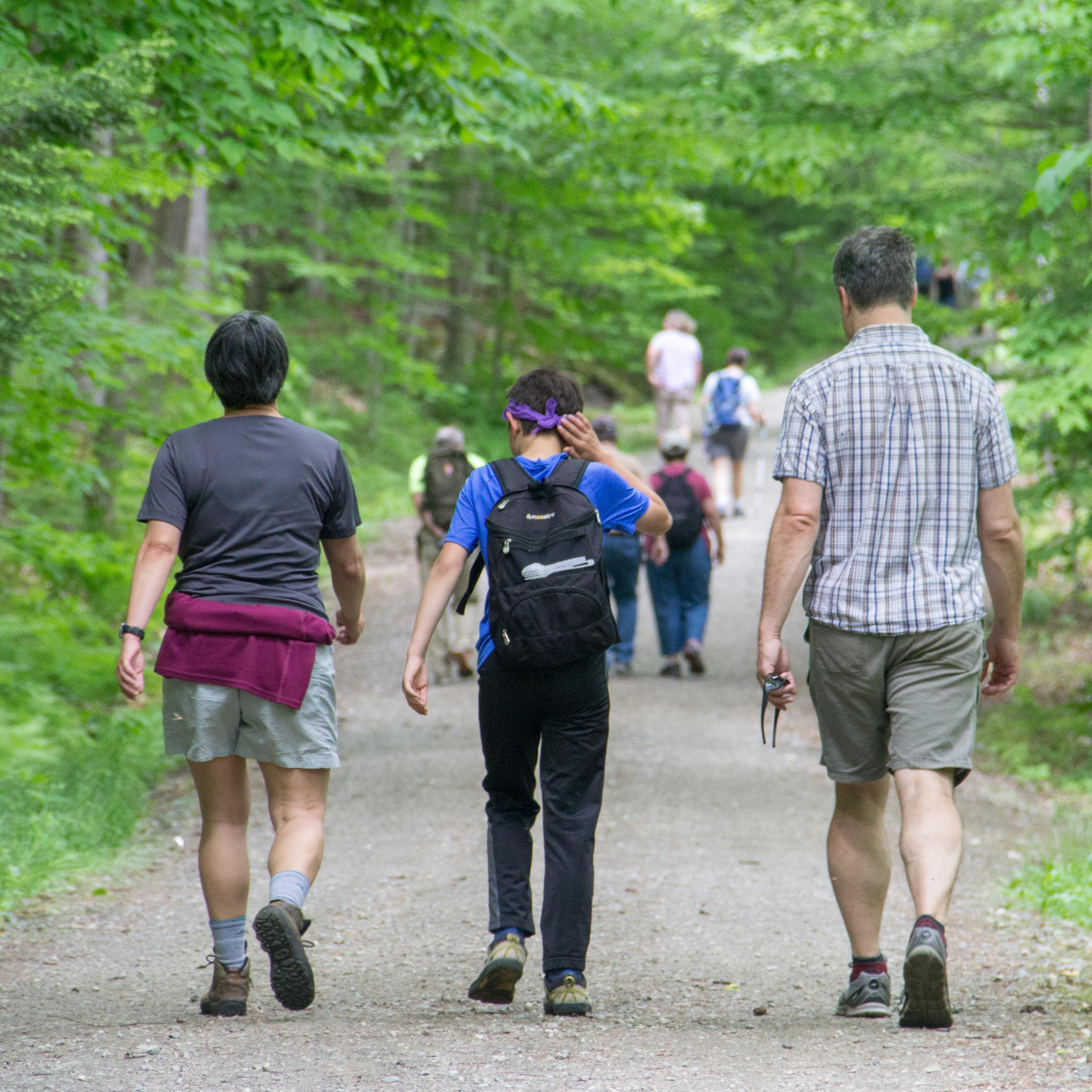 photo of three hikers on a trail from behind