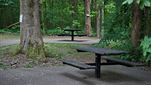Two picnic tables in a well-shaded picnic area outside of the Sloans Pond Trail. 