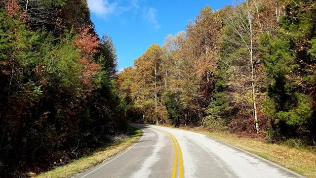 A road framed by autumn colored trees and a deep blue sky.