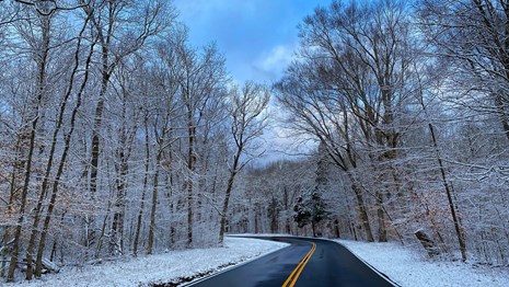 A paved road clear of snow with snow covering the roadside shoulders. 