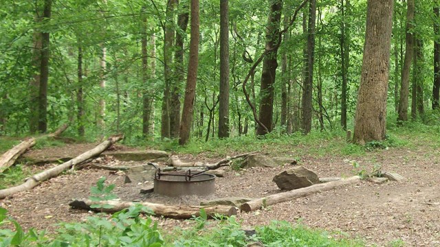 A basic campsite surrounded by green trees.