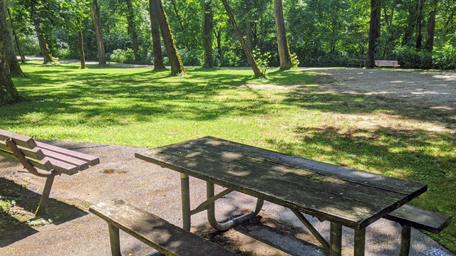 Sun dappled picnic table with a tree lined gravel road in the background.