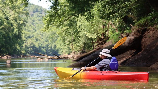 A person paddles a red and yellow kayak along a wide river surrounded by green trees.