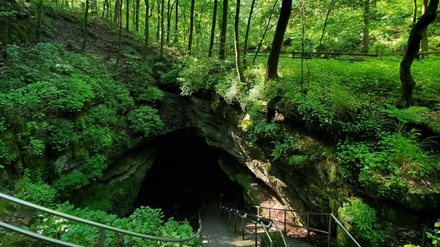 Mammoth Cave National Park