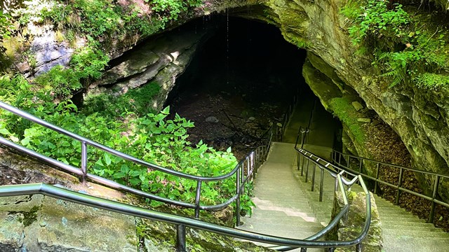 A staircase leading down into a cave opening