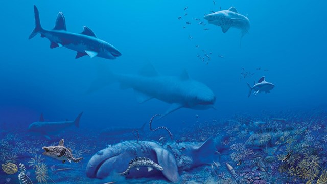 A painting of ocean life including sharks, fish and coral. 