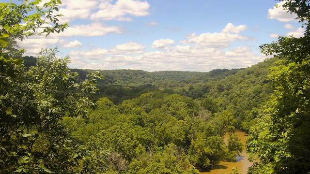 A river meanders through a valley surrounded by hillsides full of lush green trees.