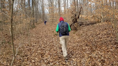 Two hikers hike of a trail covered in leaves.
