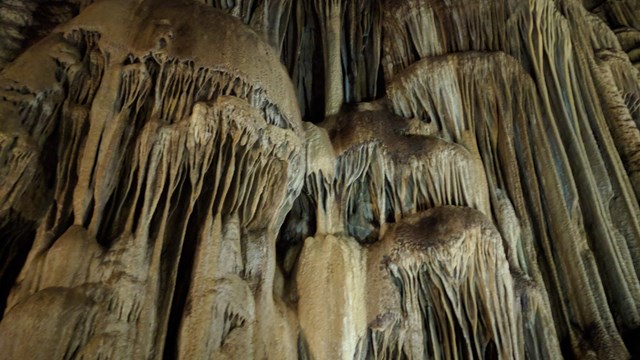 Cave formations in the shape of jellyfish