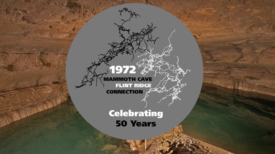 A cave passage with a logo showing a cave map and the words "Celebrating 50 years"