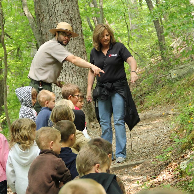 A park ranger points out wildflowers to a visiting school group while hiking along a forest trail.