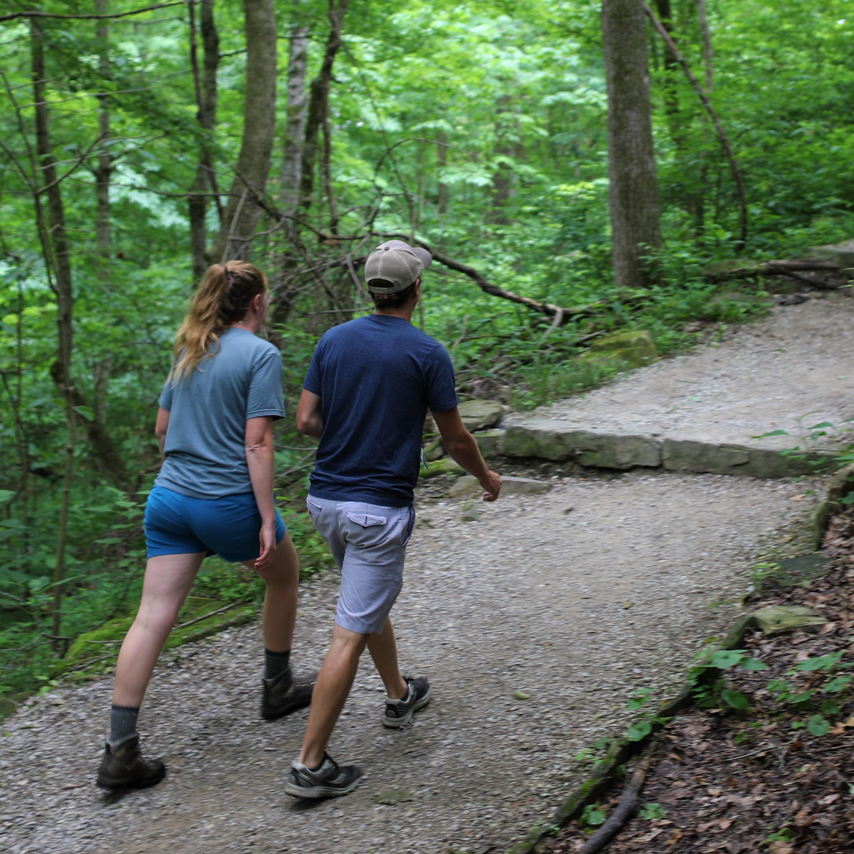 Two hikers climb an uphill forest trail.