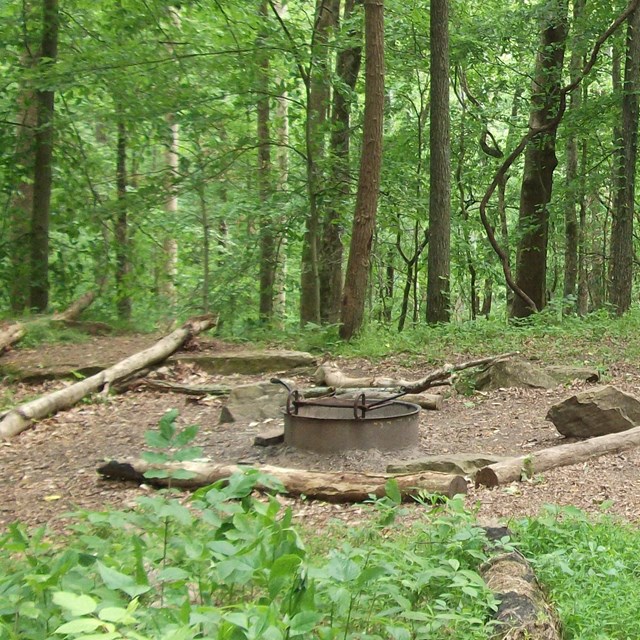 A basic campsite surrounded by green trees.