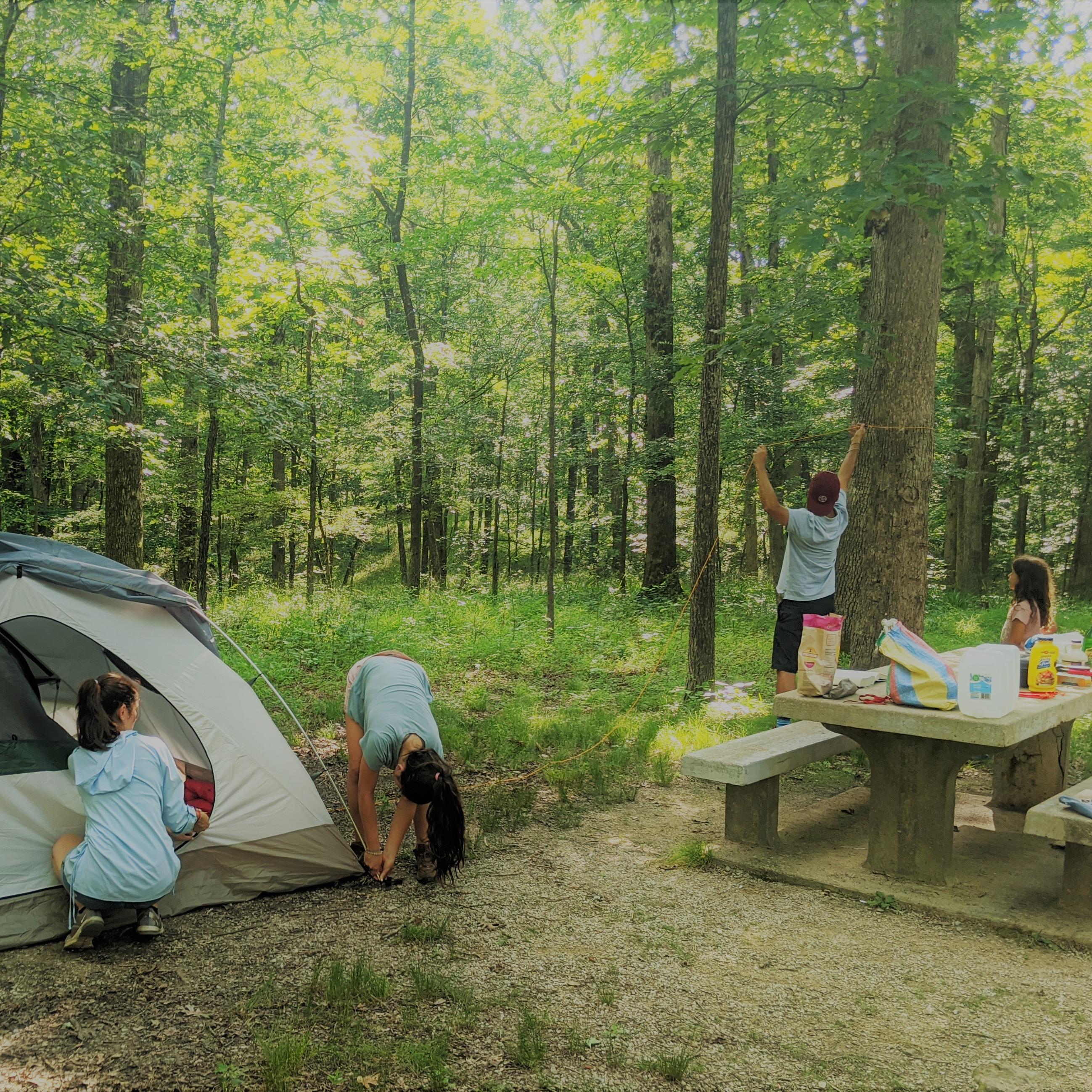 State forest campgrounds deals near me