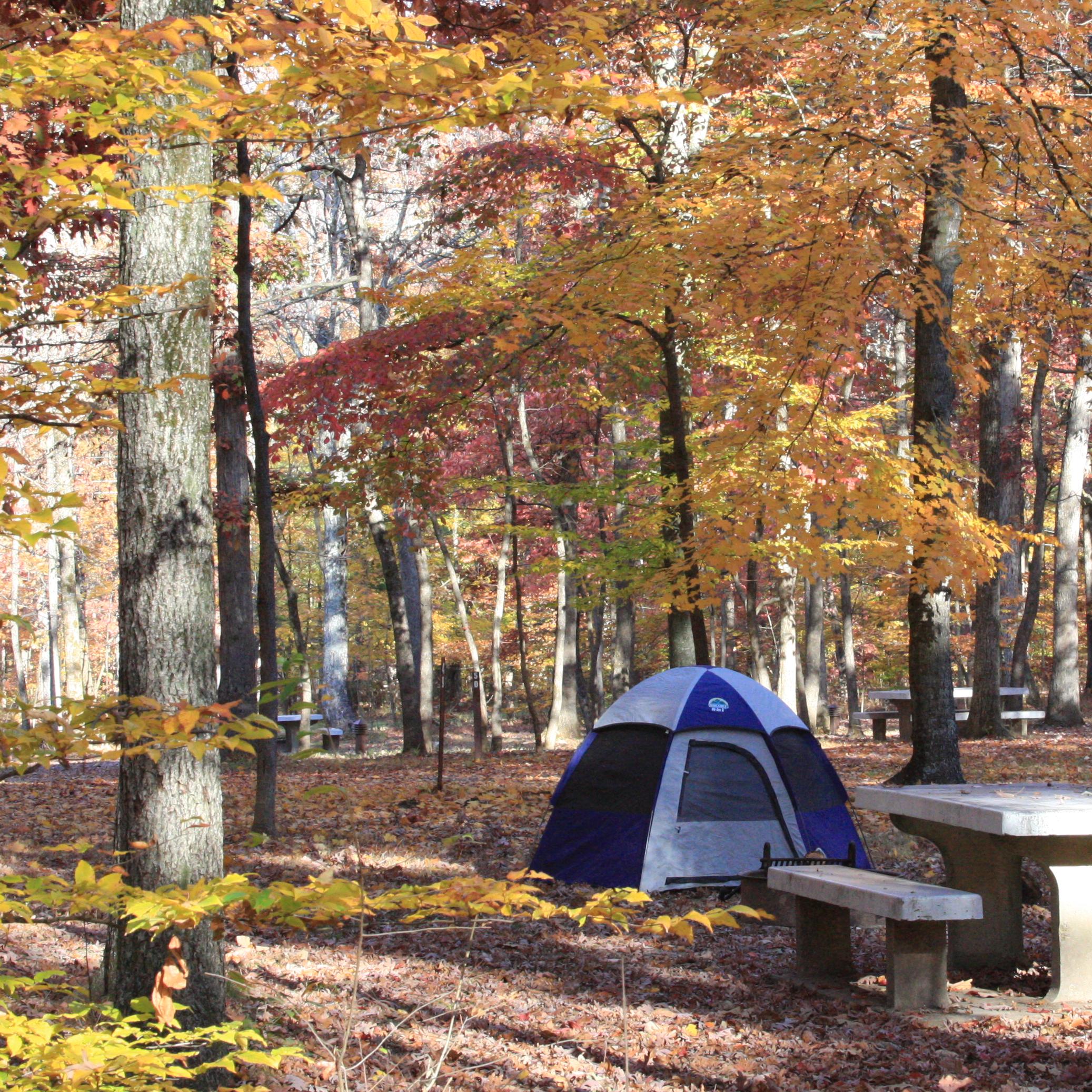 Camping Mammoth Cave National Park U.S. National Park Service