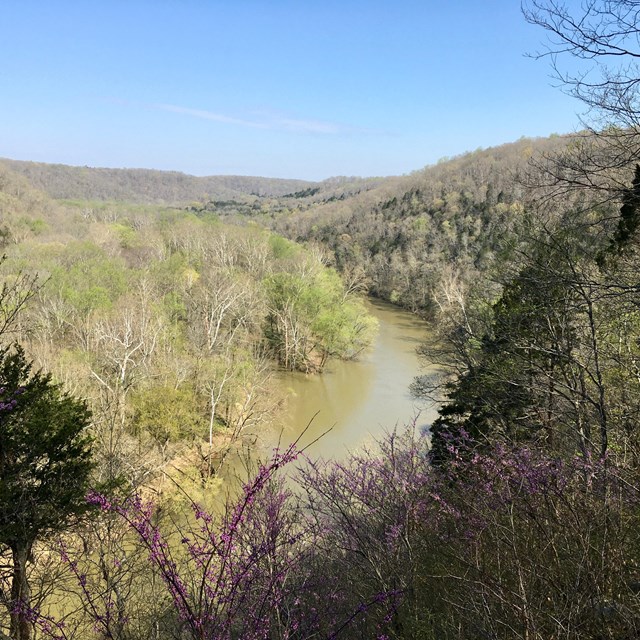 A spring view looking over a river.