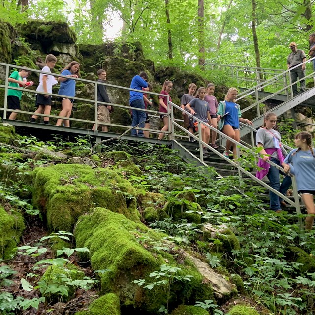 A school group hiking along a trail.
