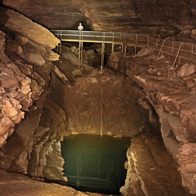 mammoth cave which tour