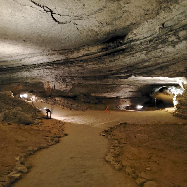A large cave room with dirt trails. 